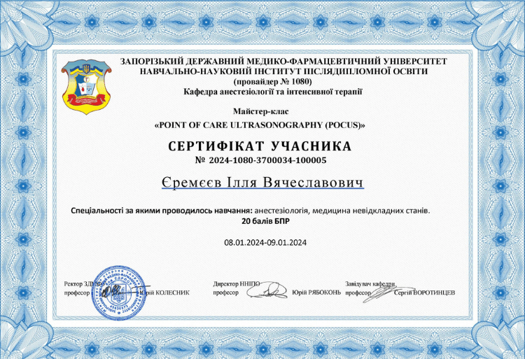 Сертифікат Єремєєв Ілля