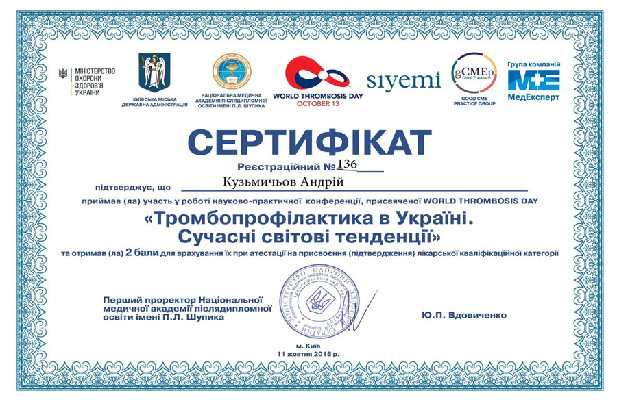 Кузьмічов Андрій Олександрович cертифікат 26