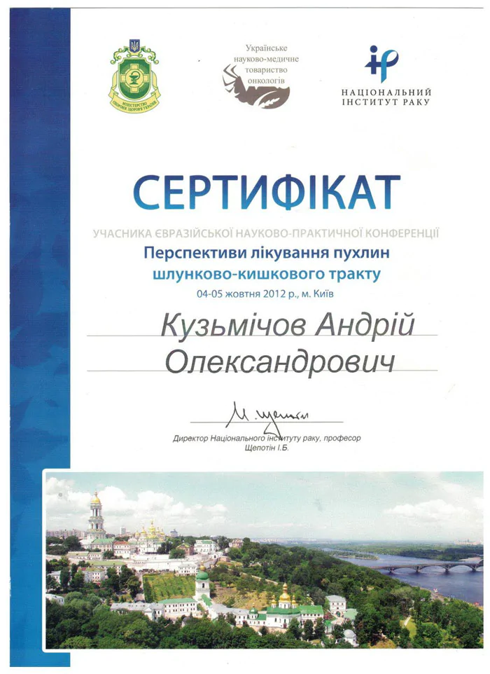 Кузьмічов Андрій Олександрович cертифікат 29