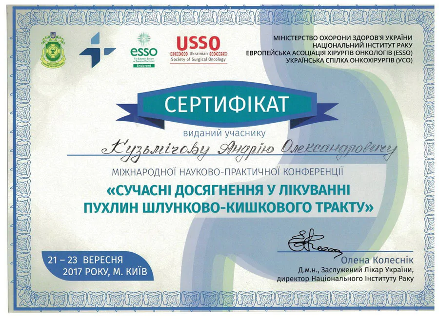 Кузьмічов Андрій Олександрович cертифікат 31
