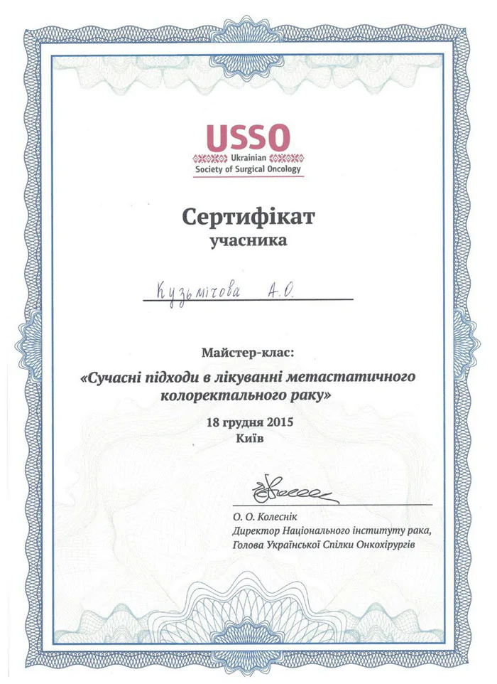 Кузьмічов Андрій Олександрович cертифікат 34