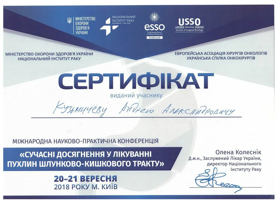 Кузьмічов Андрій Олександрович cертифікат 38