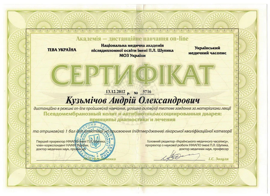 Кузьмічов Андрій Олександрович cертифікат 44