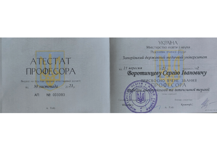 Диплом Воротинцев Сергій