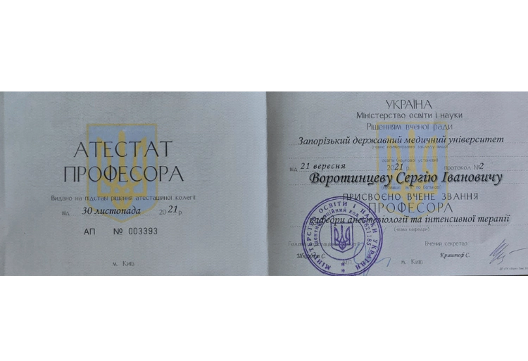 Диплом Воротинцев Сергій 
