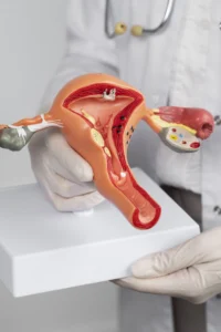 close up doctor holding anatomic model (convert.io)
